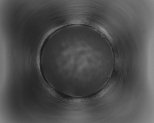 X0000093131035200710031348