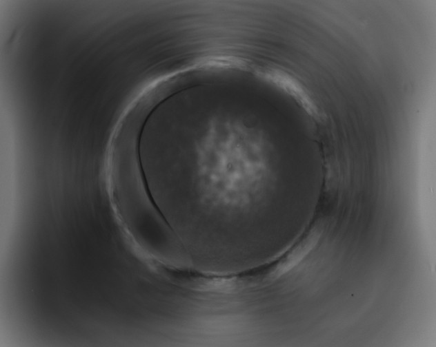 X0000093131038200710031348