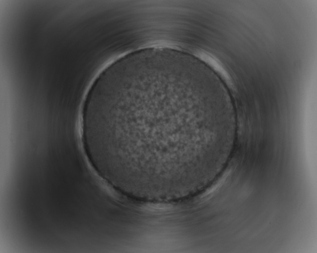 X0000093131040200710031348