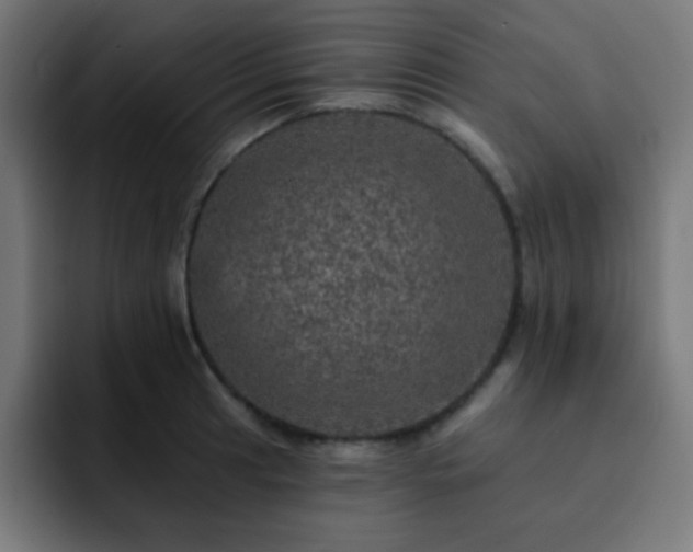 X0000093131041200710031348