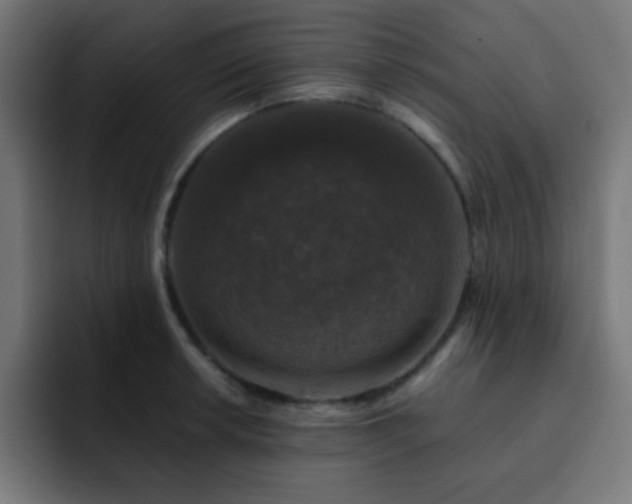 X0000093131042200710031348