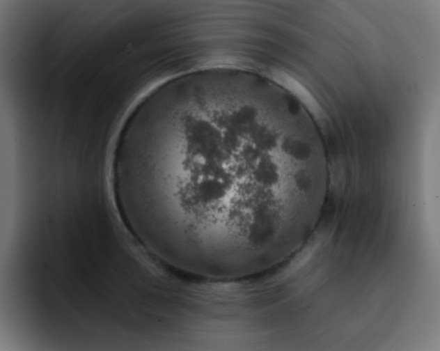 X0000093131043200710031348