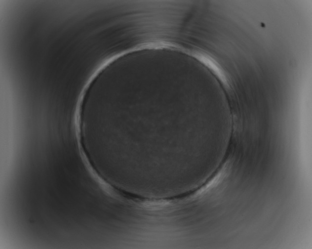 X0000093131046200710031348