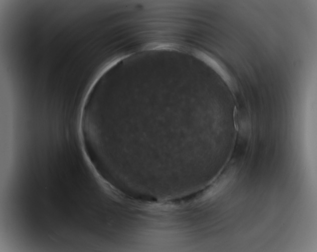 X0000093131050200710031348