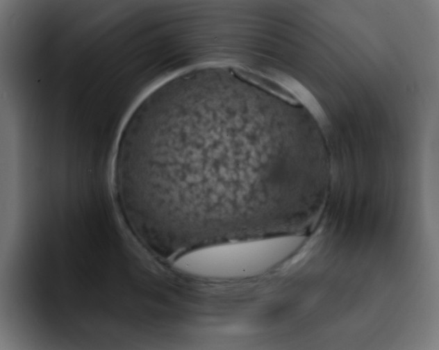 X0000093131052200710031348