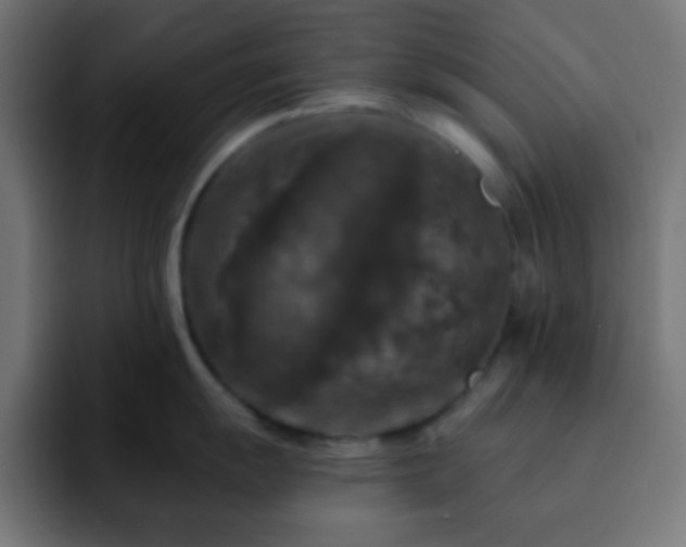 X0000093131055200710031348