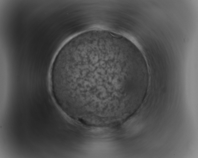 X0000093131056200710031348