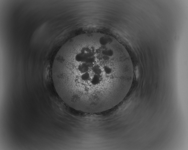 X0000093131059200710031348