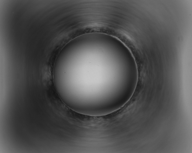 X0000093131062200710031348
