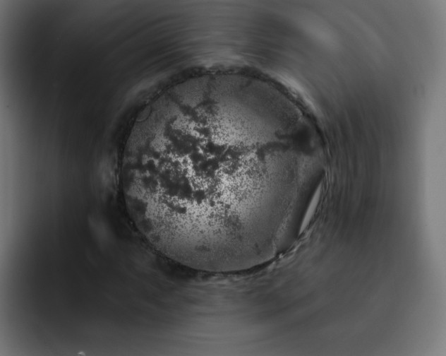 X0000093131063200710031348