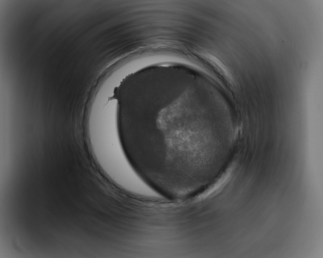 X0000093131065200710031348