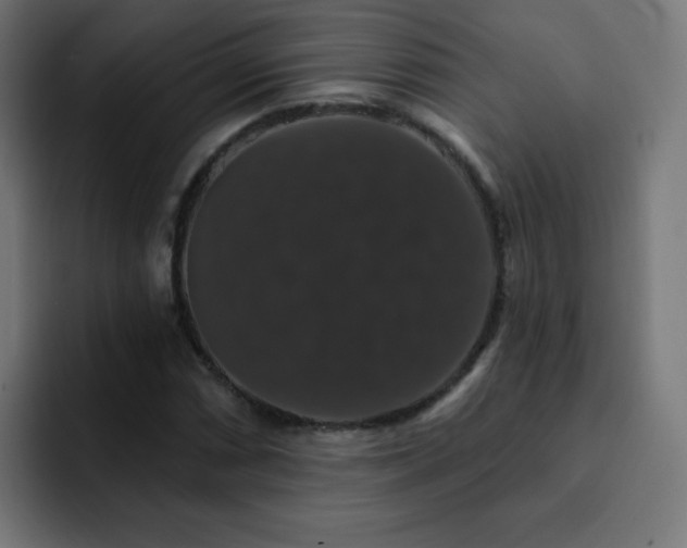 X0000093131066200710031348