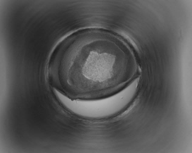 X0000093131069200710031348