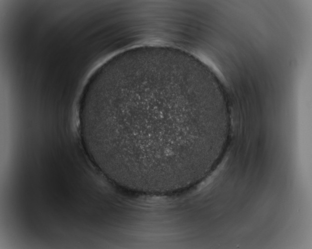 X0000093131070200710031348