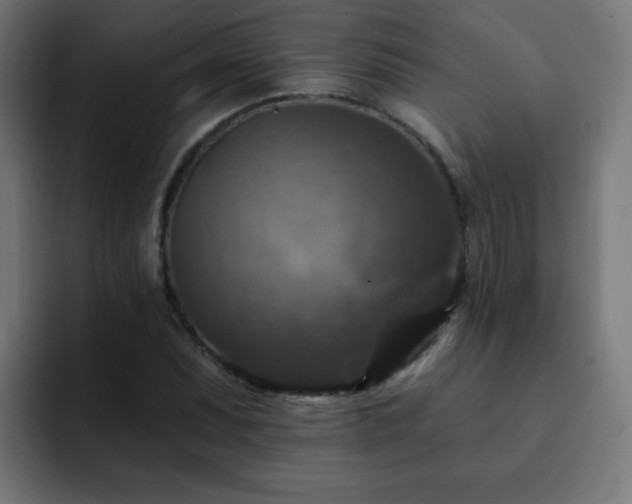 X0000093131071200710031347