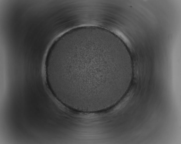 X0000093131072200710031347
