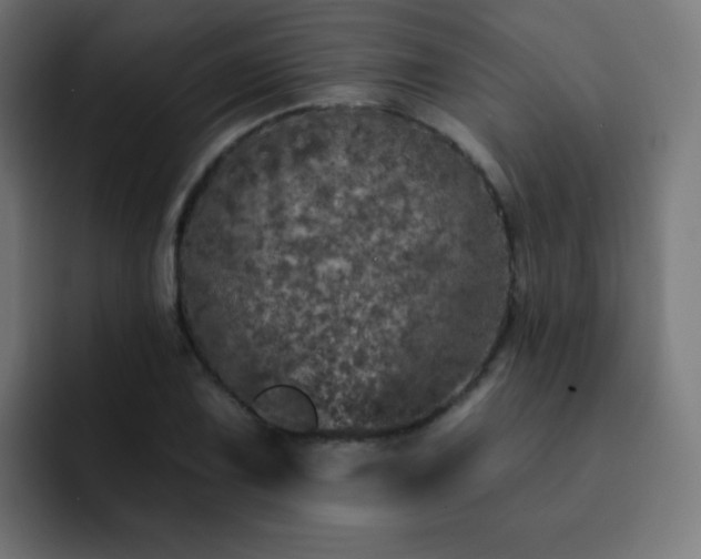 X0000093131075200710031347