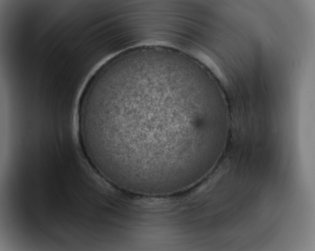 X0000093131076200710031347