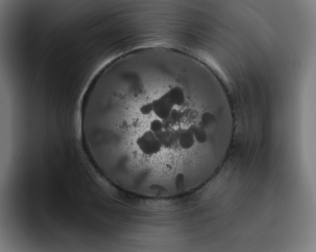 X0000093131079200710031347