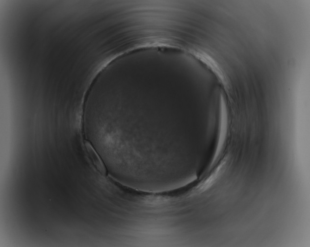 X0000093131081200710031347