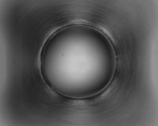 X0000093131082200710031347