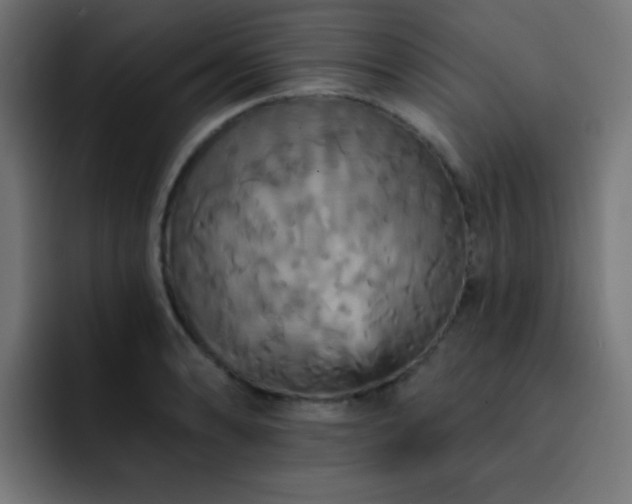 X0000093131086200710031347
