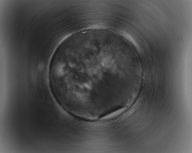 X0000093131087200710031347