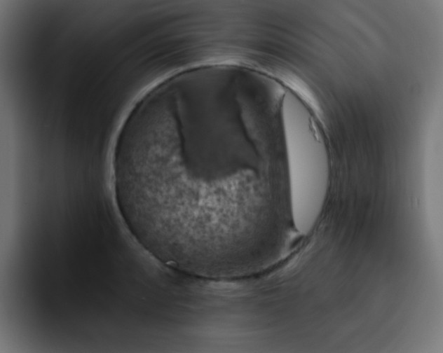 X0000093131088200710031347