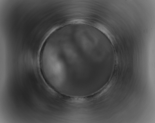X0000093131090200710031347