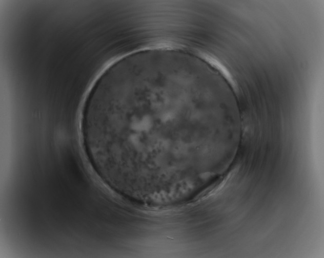 X0000093131091200710031347