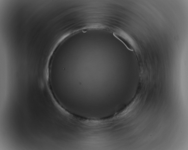 X0000093131095200710031347