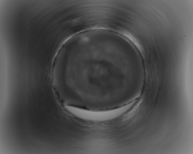 X0000093131097200710031347