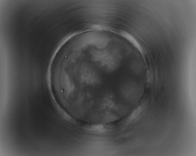 X0000093131098200710031347