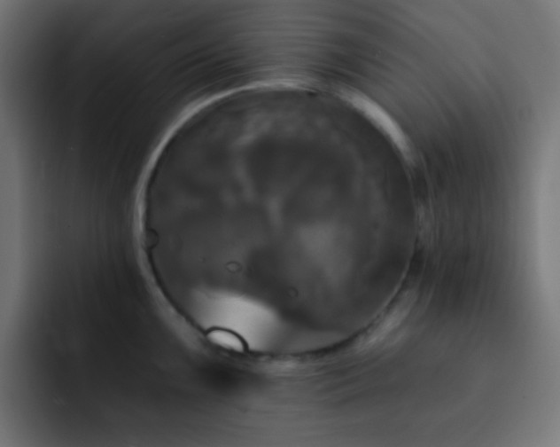 X0000093131099200710031347