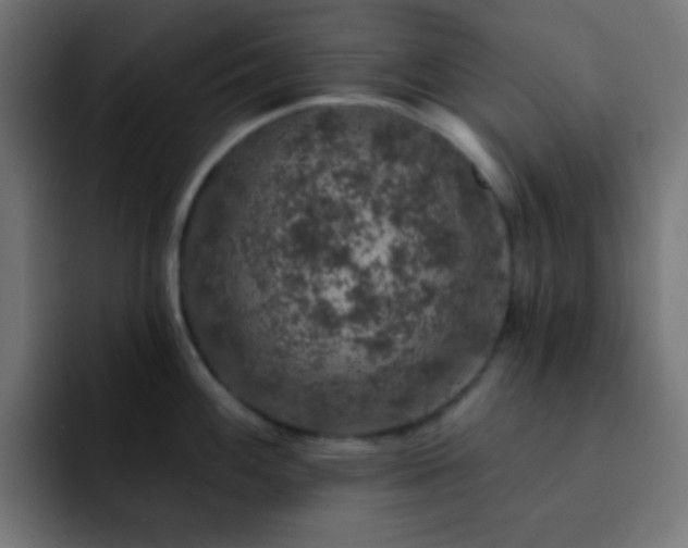 X0000093131100200710031347
