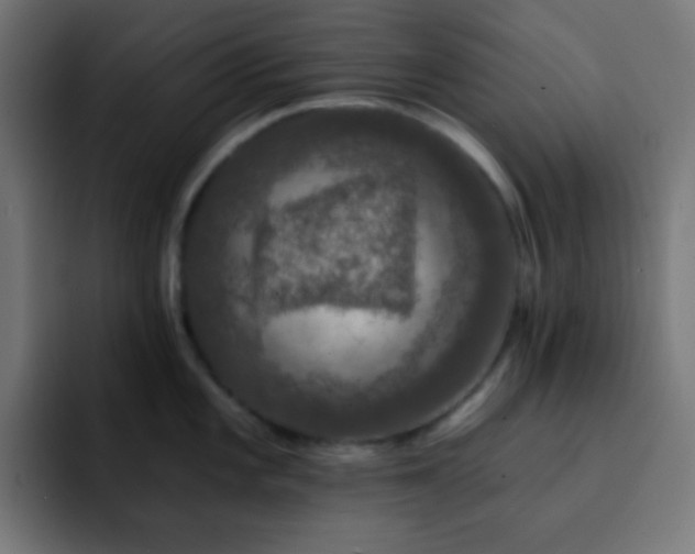 X0000093131101200710031347