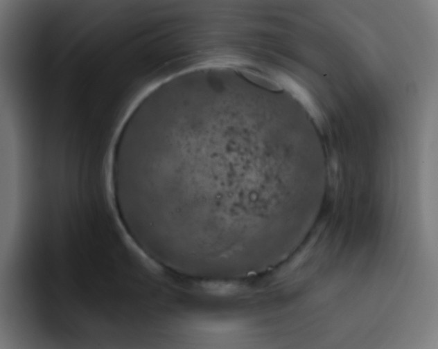 X0000093131103200710031347