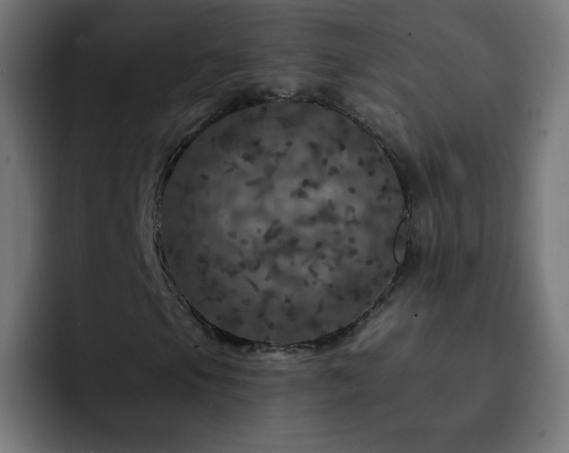 X0000093131105200710031347