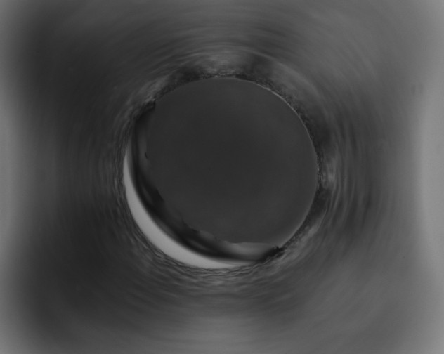 X0000093131108200710031347