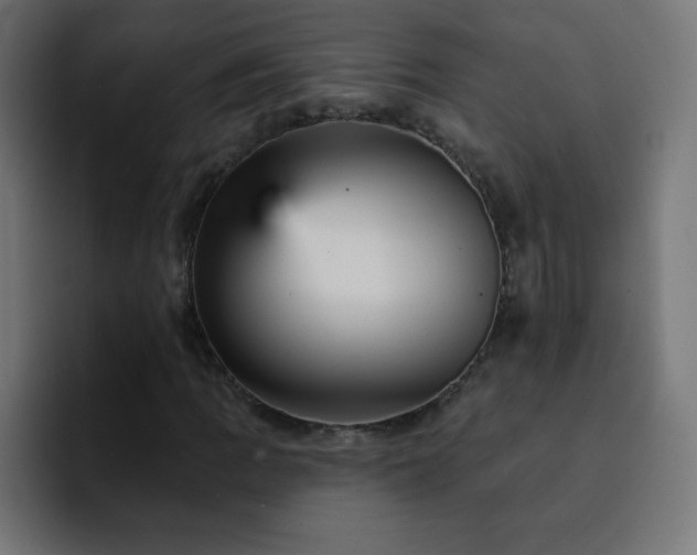 X0000093131109200710031347