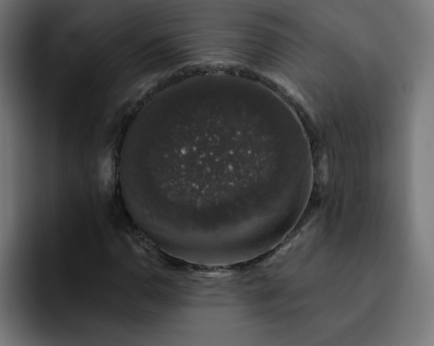 X0000093131110200710031347