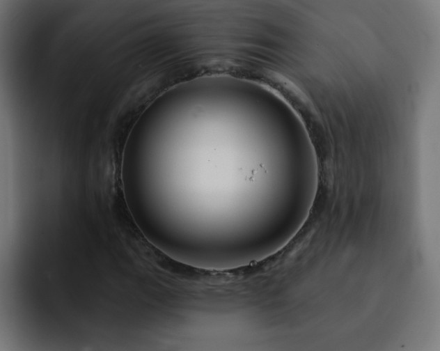 X0000093131111200710031347