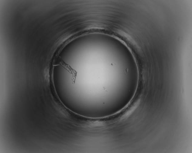 X0000093131113200710031347
