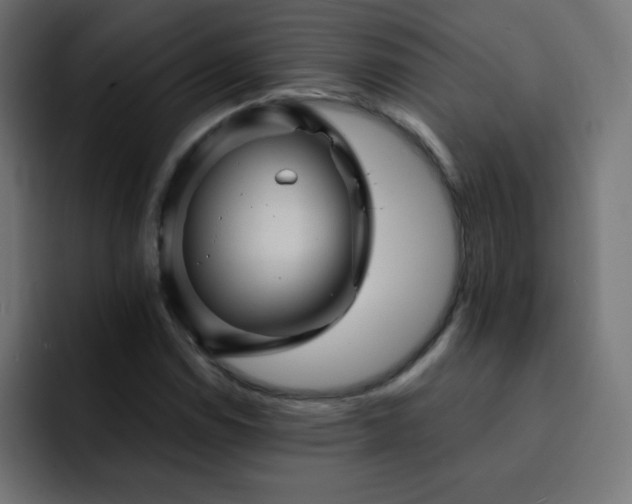 X0000093131114200710031347