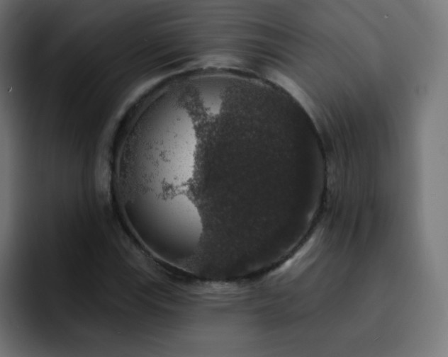 X0000093131115200710031347