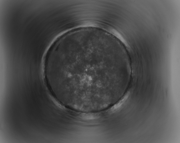 X0000093131116200710031347