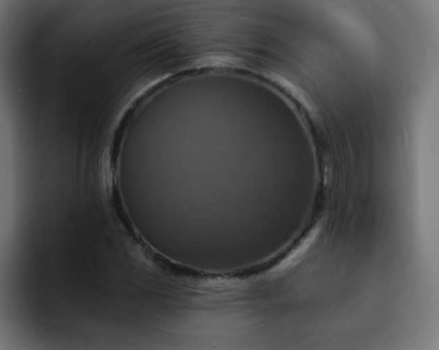 X0000093131117200710031347
