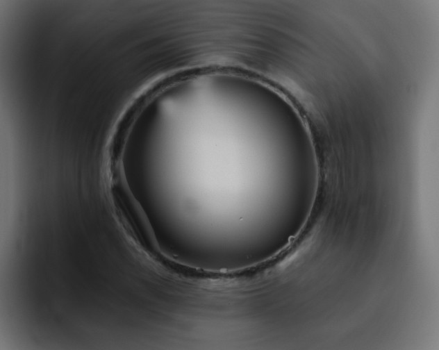 X0000093131118200710031347
