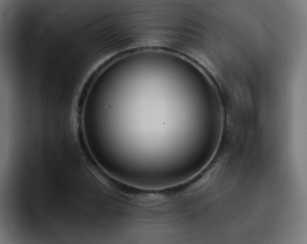 X0000093131119200710031347