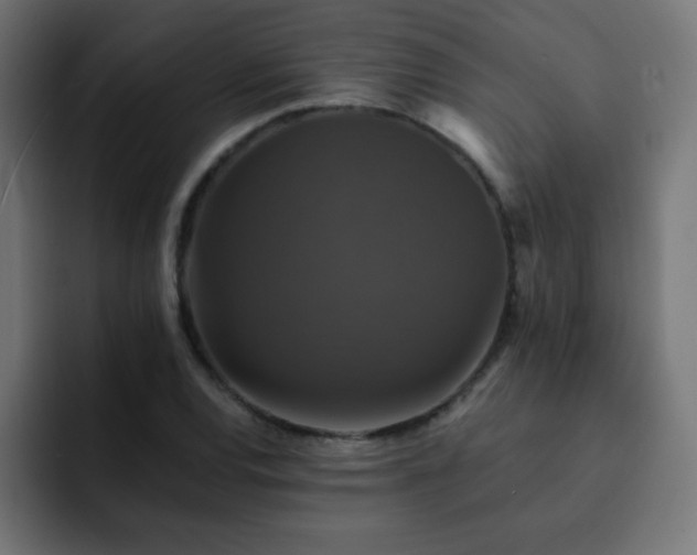 X0000093131120200710031347
